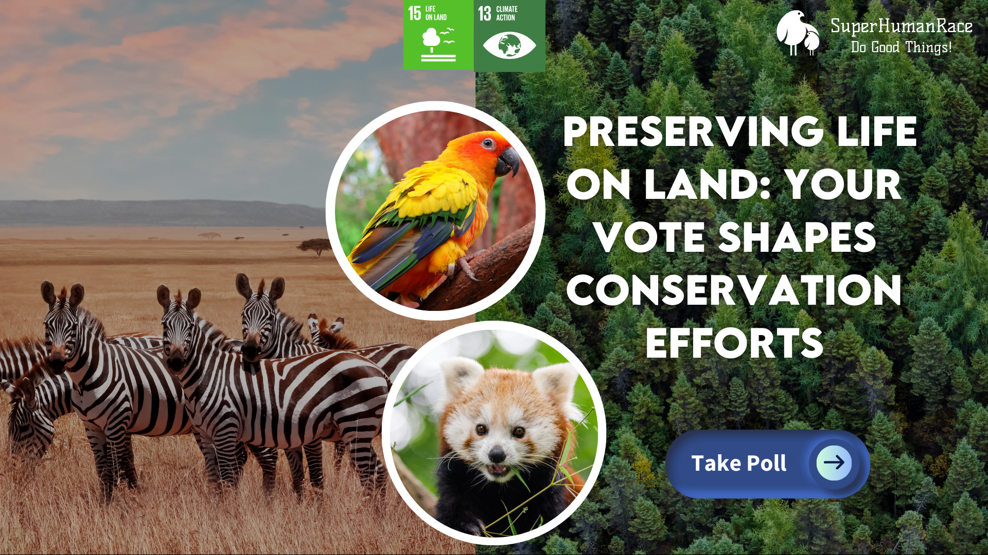 Preserving Life on Land