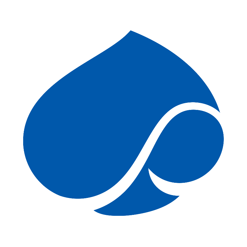 Capgemini India